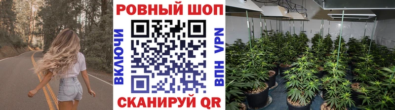 Продажа наркотиков Алатырь A PVP  АМФ  МЕФ  ГАШИШ  Кокаин  Бошки Шишки 