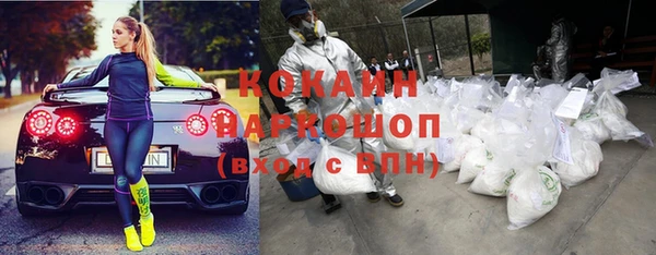 спиды Няндома