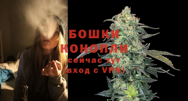 сатива Осташков