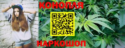 бошки Шахты