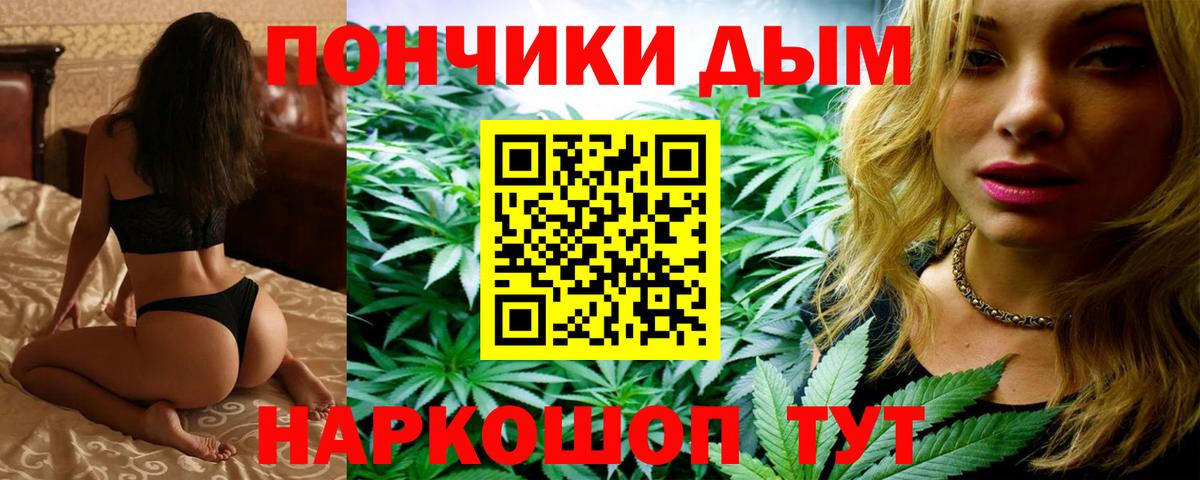 Бошки марихуана ГИДРОПОН  Вход с VPN  Конопля план  Каннабис Bruce Banner  Алатырь 